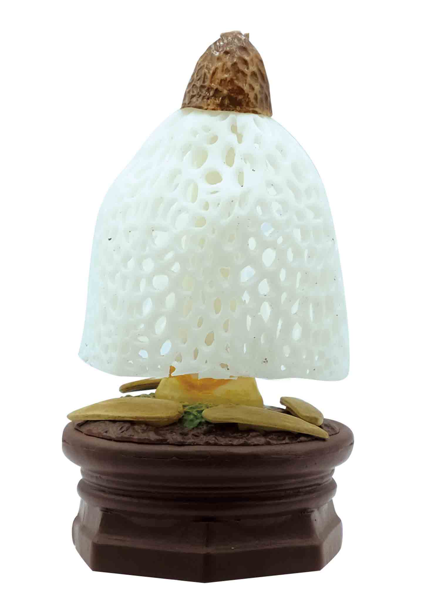 Mushroom Garden Blind Box Version 1 - Image 4
