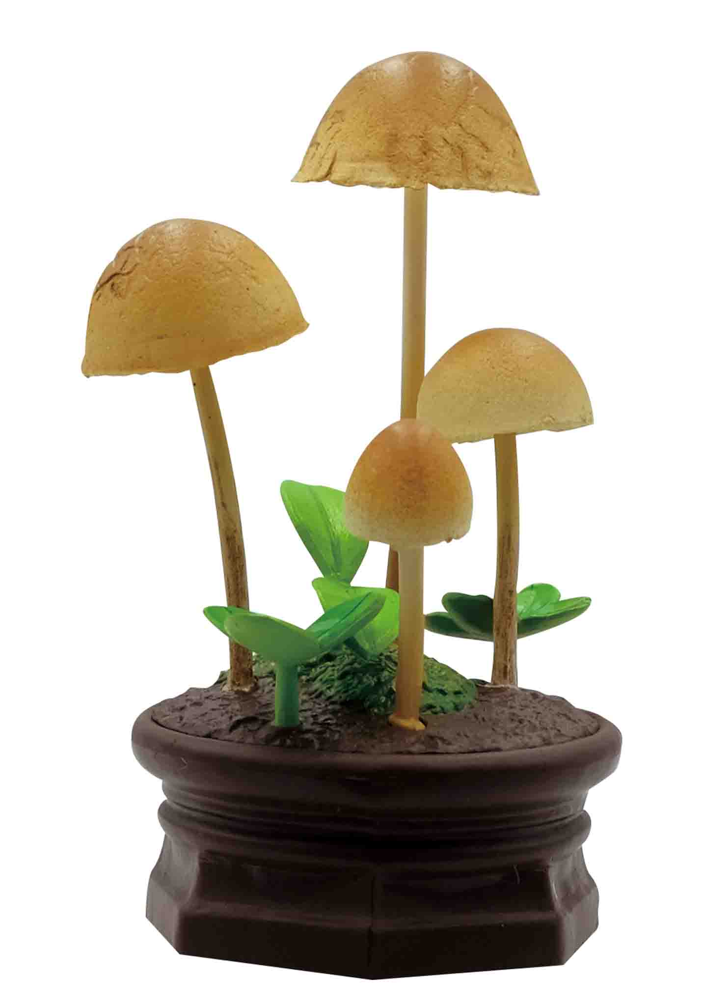 Mushroom Garden Blind Box Version 1 - Image 6
